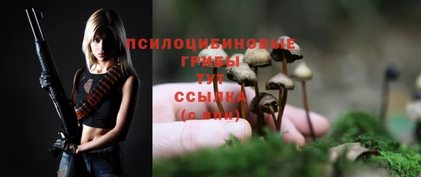прущий лед Лихославль